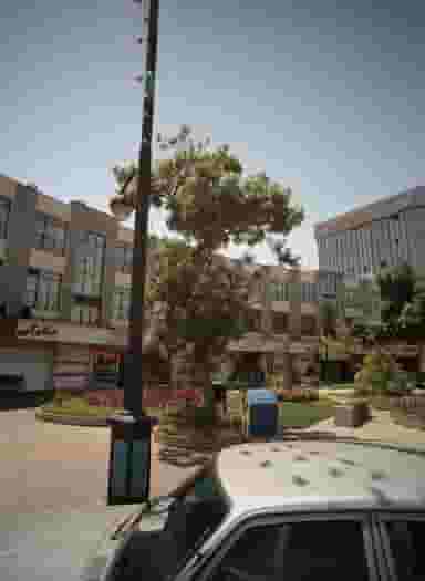 جگرکی در احمدآباد مشهد