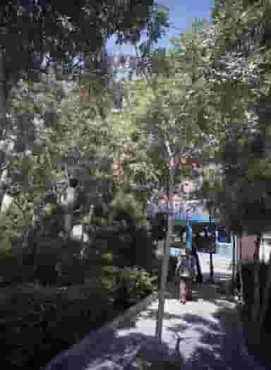 آژانس مسافرتی ماه سیر مهتاب در دریادل مشهد