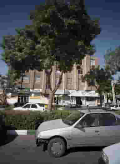 لوان نور در دریادل مشهد