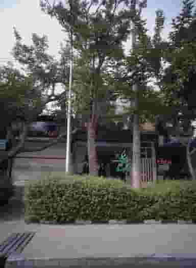 شرکت خدمات مسافرتی و زیارتی ثالثی و شرکا در دریادل مشهد