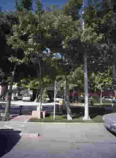 دفتر خدمات مسافرتی فدک ترین در دریادل مشهد