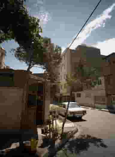 گل و گیاه در تربیت مشهد