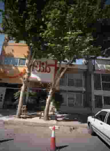 گل فروشی گلفام کوی امیرالمومنین مشهد