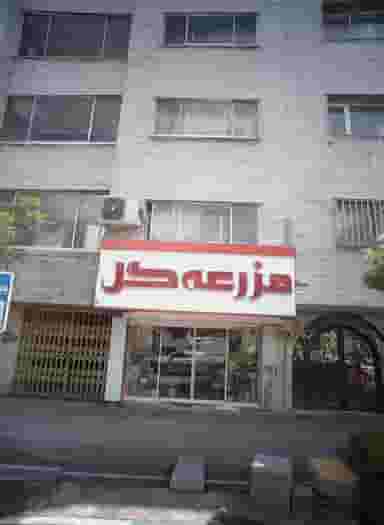 مزرعه گل در سجاد شهر مشهد