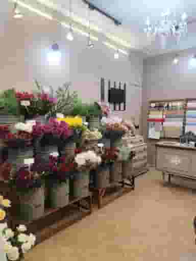 گل فروشی کاما در کیان شهر شیراز