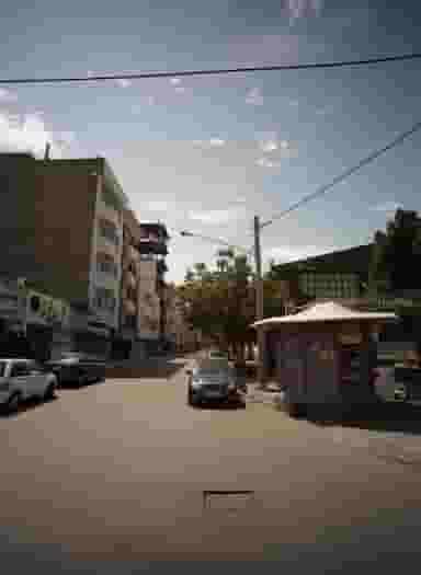 گل باغ رز در دانشجو مشهد