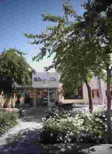 گل برکه در دانشجو مشهد