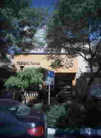 گل نسترن در راهنمایی مشهد