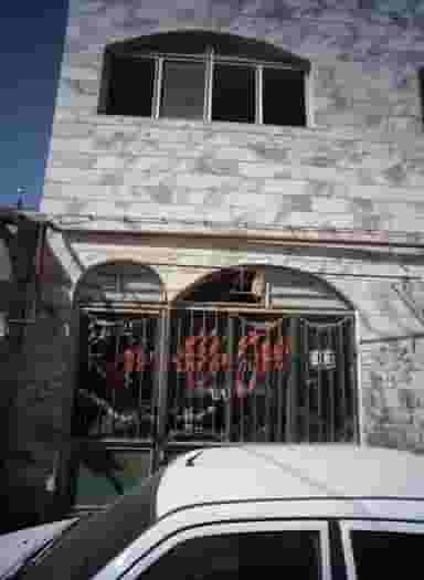 گل کاکتوس سید در بهمن مشهد