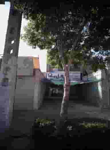 گل یلدا در ایثار مشهد