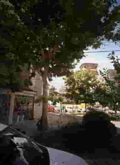 گلسرای مهسا در طلاب مشهد
