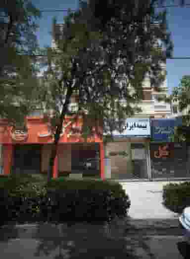 گل در دانشجو مشهد