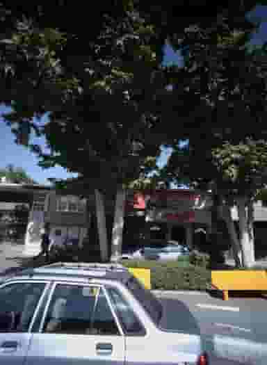 گل پدیده در ارشاد مشهد