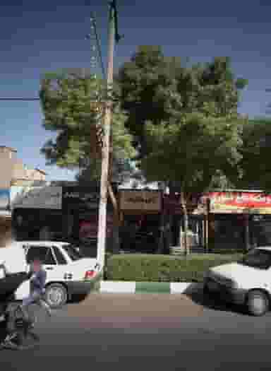 گل ملیسا در رسالت مشهد