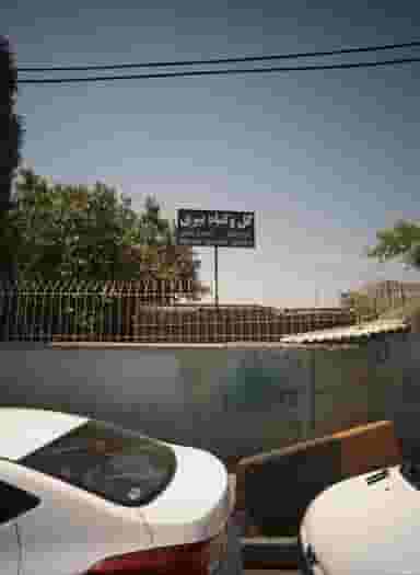 گل و گیاه نیری در کلاهدوز مشهد