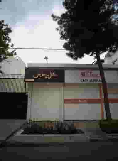 گل پردیس در فلسطین مشهد