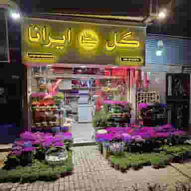 گل ایرانا در گوهرشاد مشهد