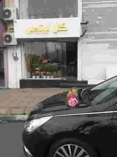 گل فروشی لوتوس در رجائی شهر کرج