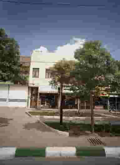 گل کاملیا در کارمندان دوم مشهد