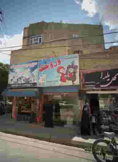 گل یلدا در امیر المومنین مشهد