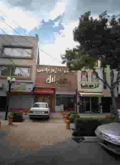 گل توتیا در رسالت مشهد