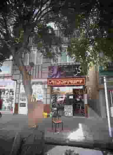 گل تانیش در خواجه ربیع مشهد