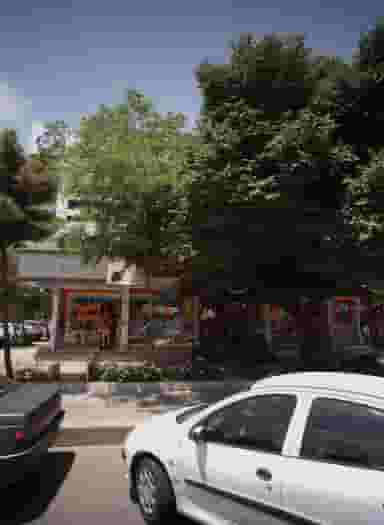 گل فروشی پانته آ در آزادشهر مشهد