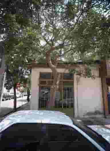 گل فروشی افسری در گلشور مشهد