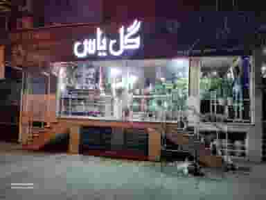 گل یاس کوی سازمان آب منطقه ای رشت