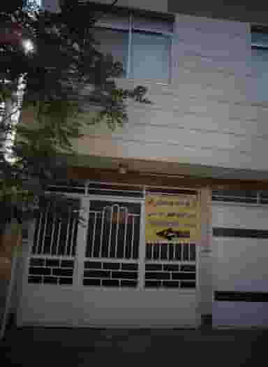 فروش انواع گلهای آپارتمانی در ولیعصر مشهد