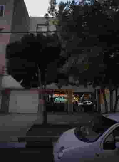 گل رسپینا در کلاهدوز مشهد