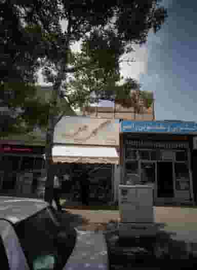 گل عسل در سمرقند مشهد