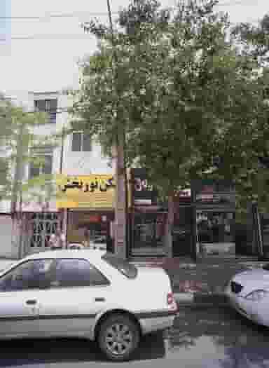 گل لوتوس در دانشجو مشهد