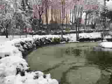 رستوران باغ لاله در پونک شمالی تهران