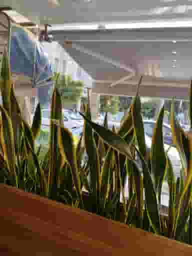 لیا برگر در رجائی شهر کرج