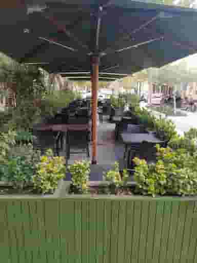 باغ زیتون در سجاد شهر مشهد