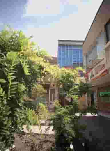 ساندویچ کاج در امامیه مشهد