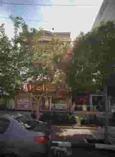 پیتزا چترا در رضاشهر مشهد