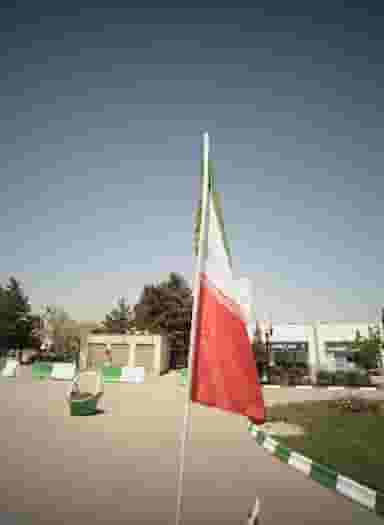 ساندویچ غزال در ایمان مشهد