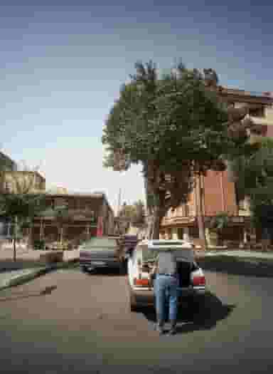 پیتزا ساندویچ در شهید آوینی تهران