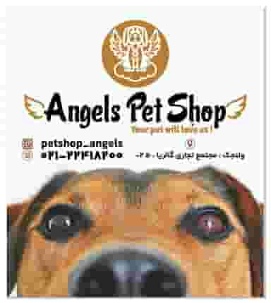 پت شاپ انجلز Angels petshop در ولنجک تهران