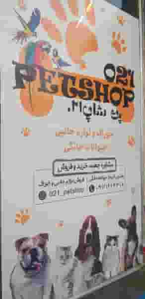 پت شاپ petpaws(سابق۰۲۱) در باغ فیض تهران