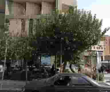 دفتر فنی امیر کبیر در ولیعصر 