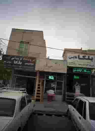 بلکا و رنگ دوستان در خاک سفید تهران