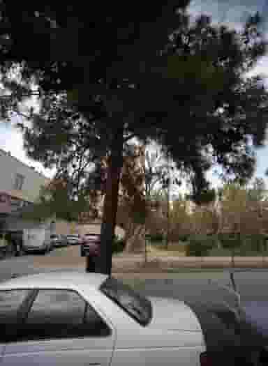 مشاور املاک تهرانپارس در تهرانپارس شرقی تهران