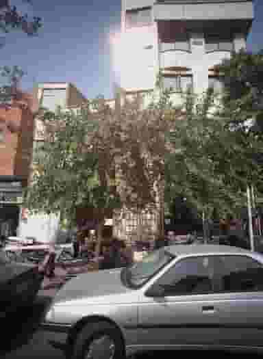 مشاور املاک در بازار تهران