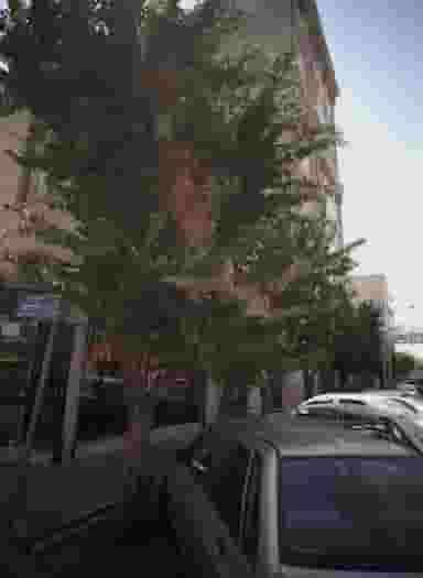 مهر 121 در دیلمان تهران