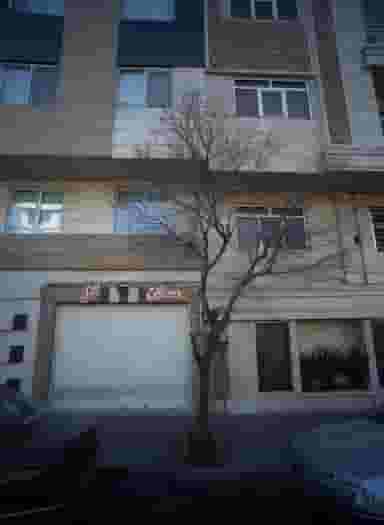 مسکن گل در شورا تهران