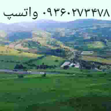 مشاور املاک بامدادی در حافظ رشت