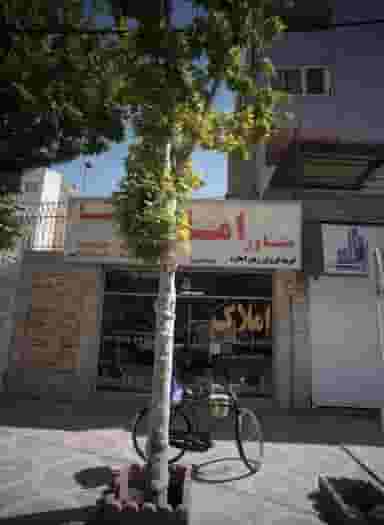 مشاور املاک رضا در شفا مشهد